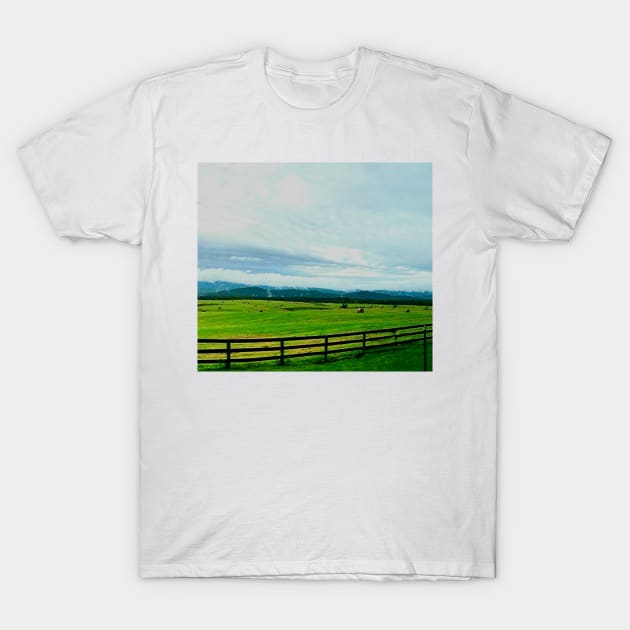 Shenandoah Mountain T-Shirt by gyebijunior